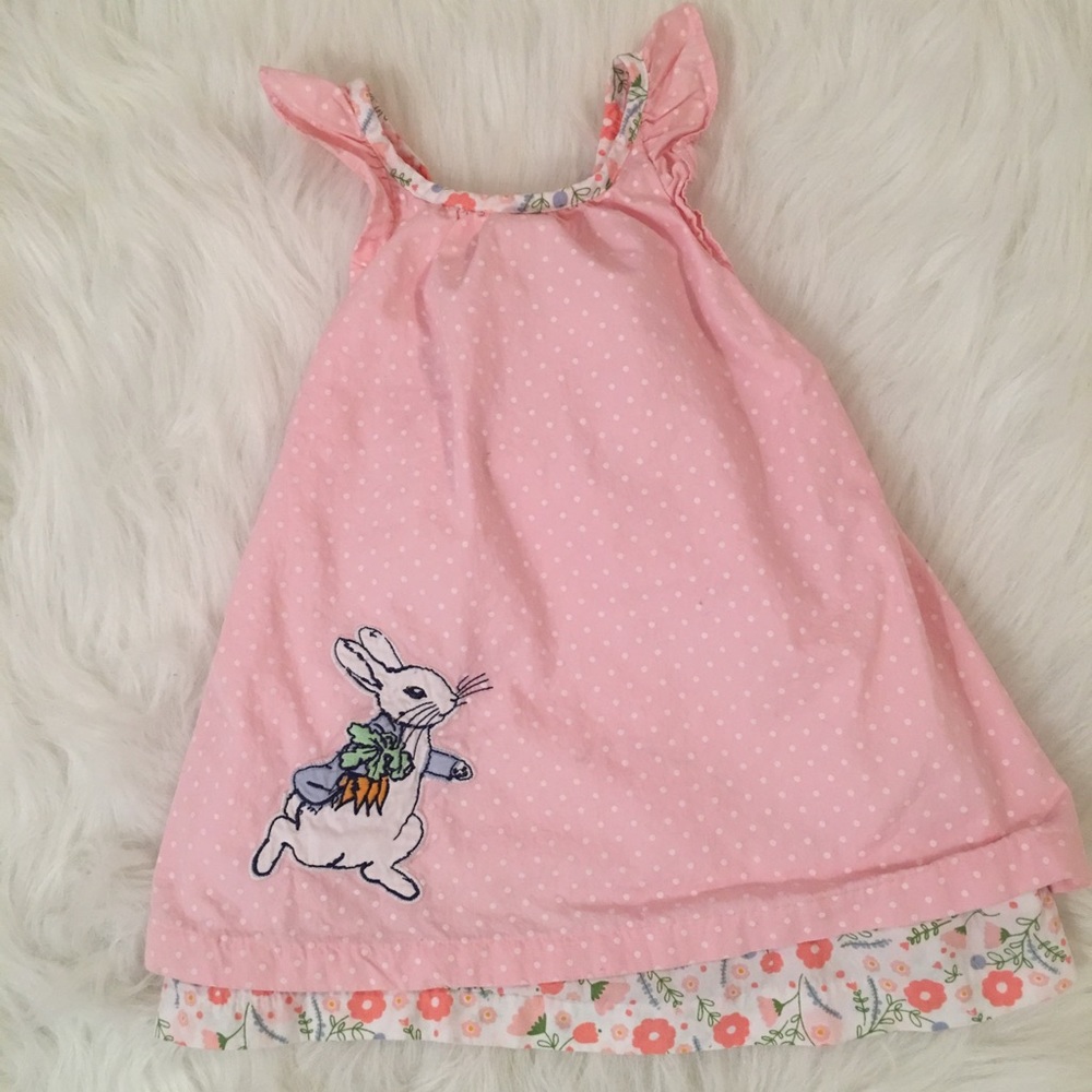 Gymboree girls infant 6-12mo peter rabbit dress